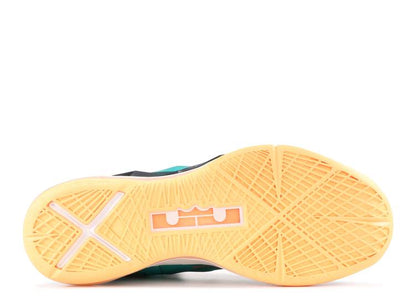 LEBRON 10 "DOLPHINS"