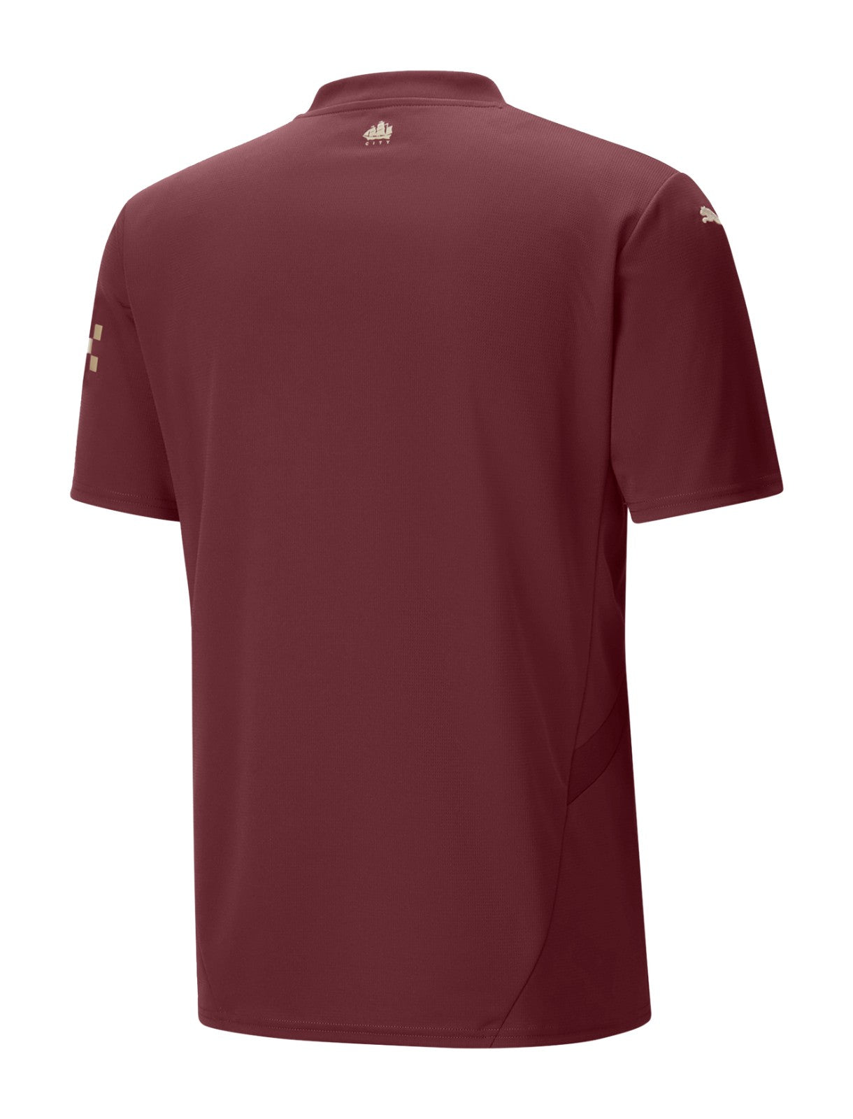 Man City 24/25 Third Jersey