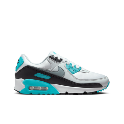 Air Max 90 (W)