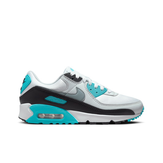 Air Max 90 (W)