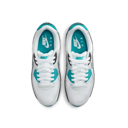 Air Max 90 (W)