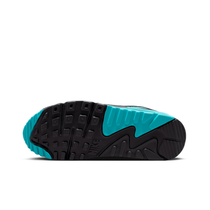 Air Max 90 (W)